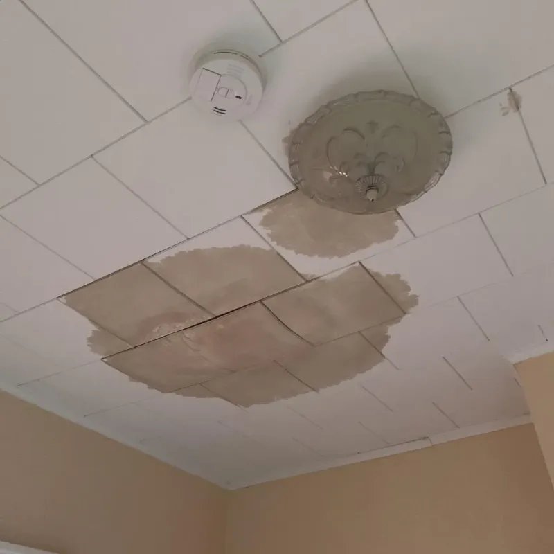 Ceiling Water Damage Repair in Lake City, MN