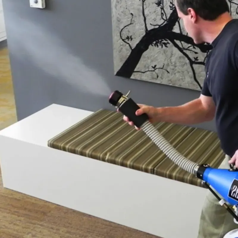 Professional Odor Removal in Lake City, MN